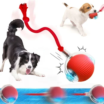 Smart Interactive Dog Rolling Ball 1