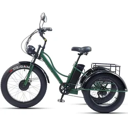 48 V 750 W Elektrische Fiets Voor Man Krachtige 24 Inch Fat Tire Fiets All Terrain Elektrische Driewielers 3 Wielen voor Volwassenen Ouderen