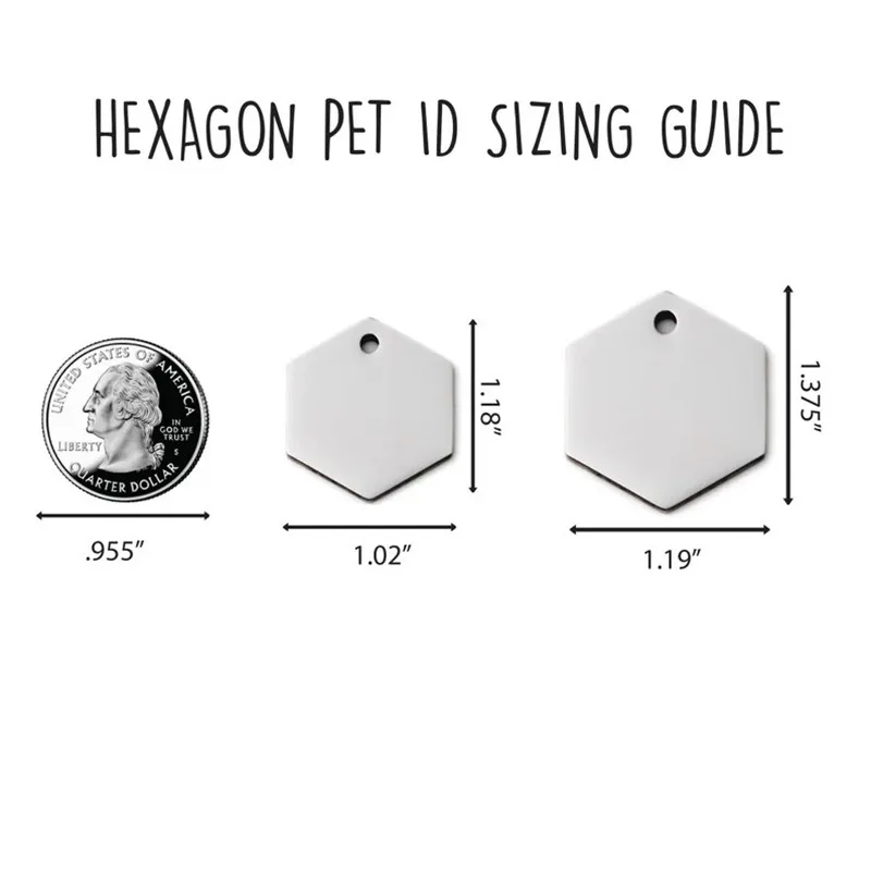 Etiqueta de identificación hexagonal personalizada para perro, accesorio antipérdida de acero inoxidable para mascotas, Collar para cachorros