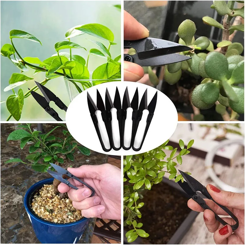 Imagem -06 - Bonsai Tesoura de Poda Tesouras para Broto Folhas Trimmer Jardim Tesouras para Plantas Jardinagem Clippers Flor Aparar Podador 12 Peças