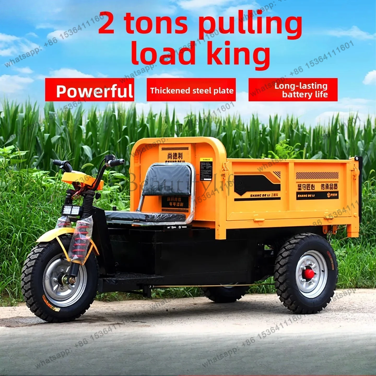 Engineering Electric Three-Wheel Dump Truck Site Sand and Gravel Transport Brick Laying Farming Handling Tipper Truck