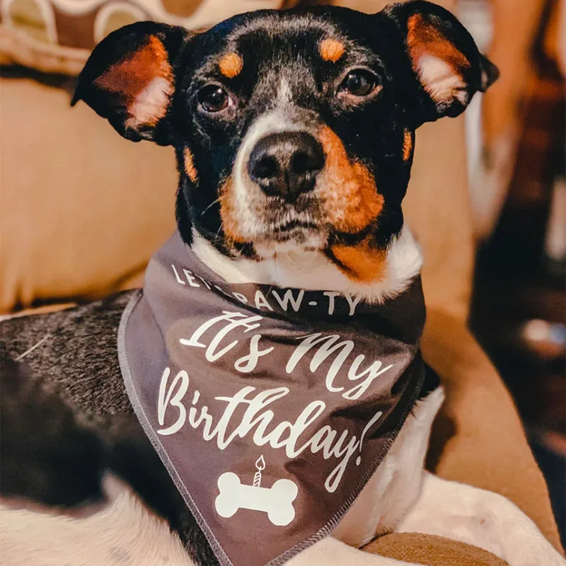 Let's Paw-ty It's My Birthday Black Triangular Scarf Lovely Pet Supplies Fall Bandana for Dog Animal Accessories Handkerchief