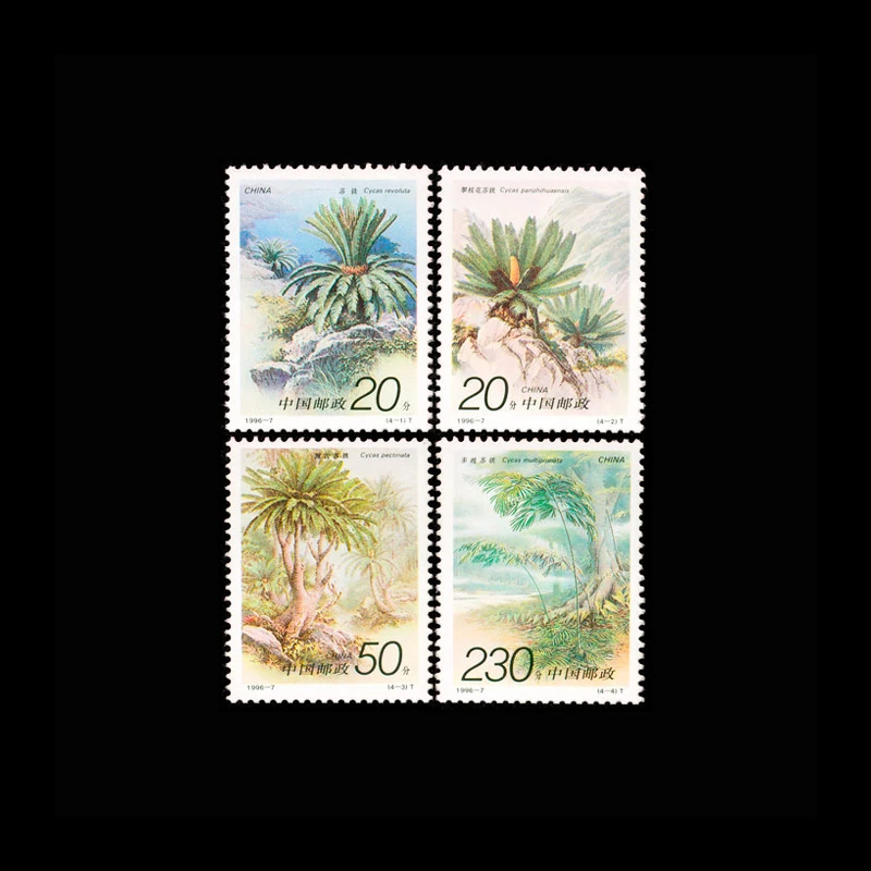 Vintage 1996 Chinese Cycas Plant Stamps 4PCS Set, MNH New Condition Postal Stamps for Collection & Gift