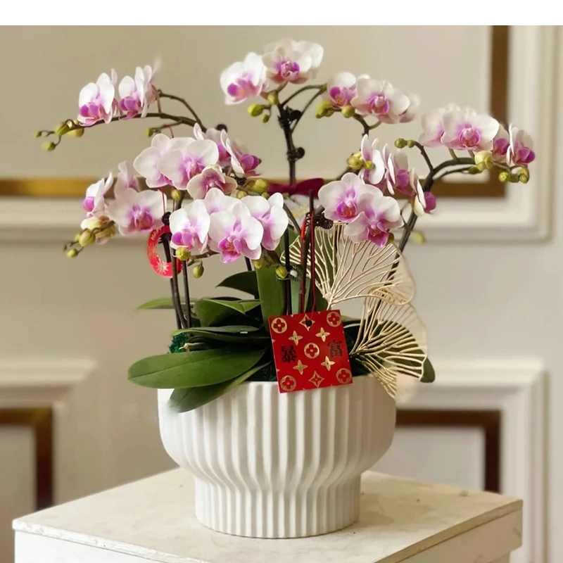 

Ceramic Flower Pot Streak Vase Floral Arrangement Accessories Table Succulent Balcony Decorations Garden