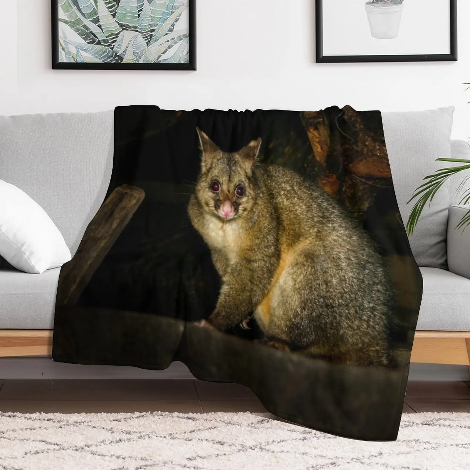 Australian Bushtail possum at night Throw Blanket Beautifuls Thermals For Travel Blankets