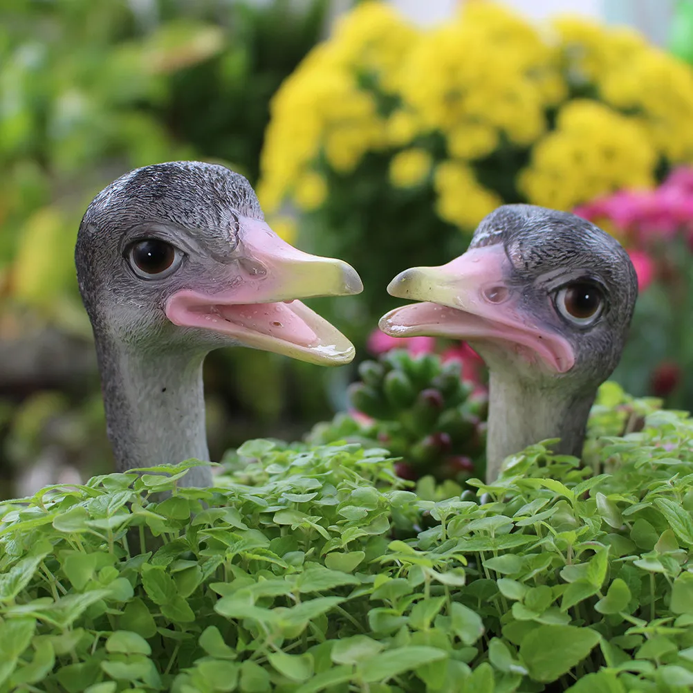 

2Pcs Adorable Ostrich Head Sculpture Resin Statue Home Garden Decoration for Office Restaurant School Showcase Display