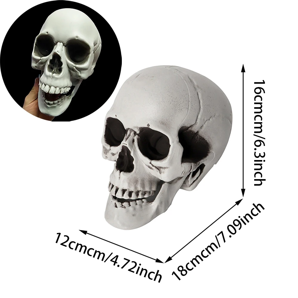 Halloween-Schädel-Dekoration, realistischer Kunststoff-Schädel, Kopfskelett, Halloween-Party, Haushof-Dekoration, Spukhaus-Horror-Requisiten