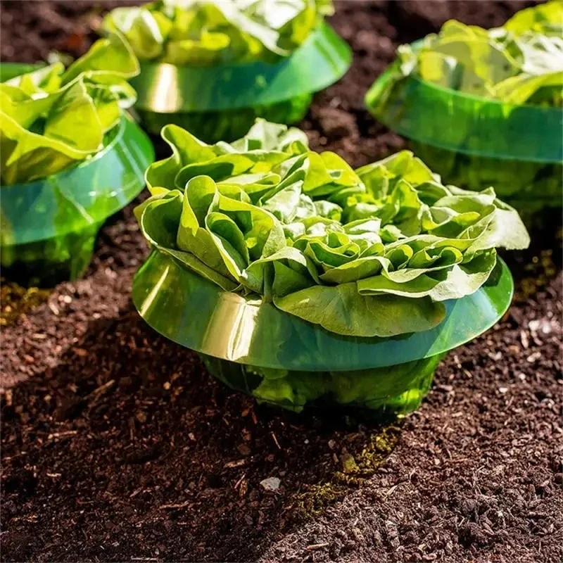 Anillos de Protección para Plantas Contra Babosas, Cubierta para Vegetales, Collar Protector de Caracoles, Trampa para Plagas en Macetas y Jardines, Herramienta de Jardinería