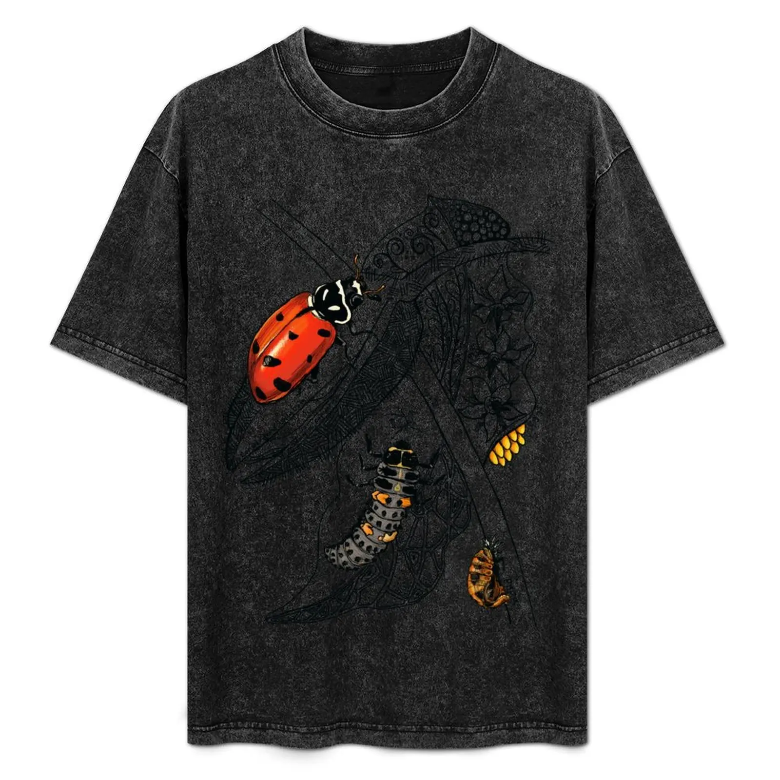 

Lady Bug Life-Cycle Doodle T-Shirt baggy shirts man t shirt clothes for men