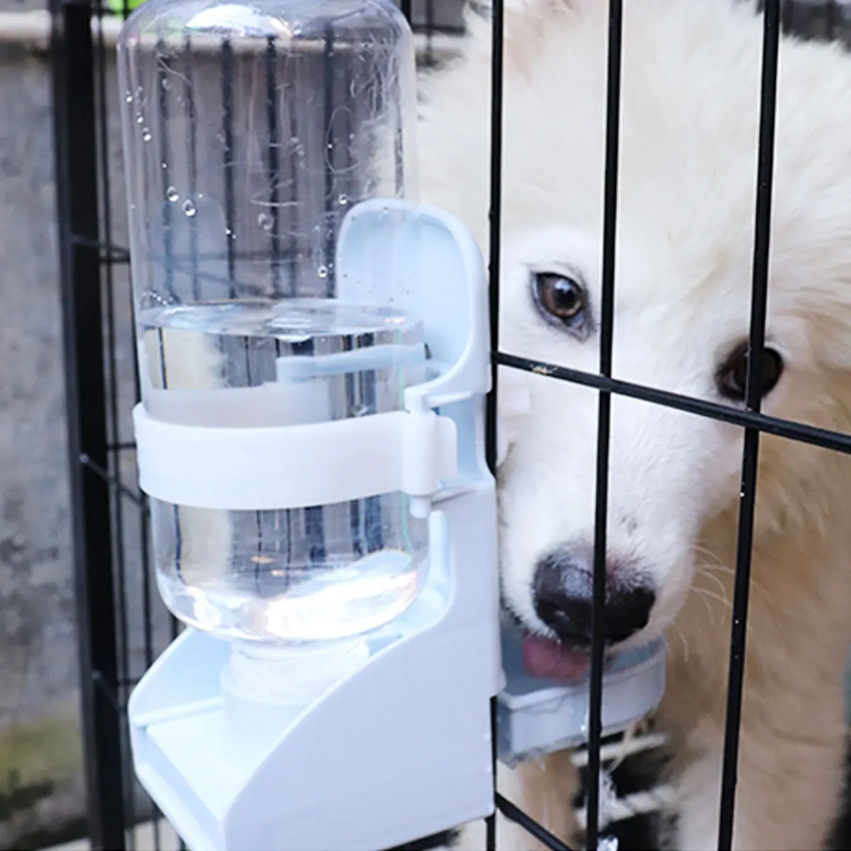 

Automatic Pet Drinking Feeder Bottle 500ml Durable Eco Plastic for Hamster Pig Birds Home Outdoor Pet Water Dispenser Dog Feeder