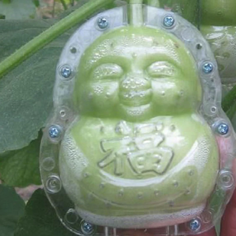 Garden Vegetables Fruits Pear Peach Growth Forming Mold Plastic Buddha-shaped Mould Shaping Tool