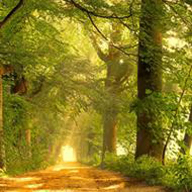 

Детский силиконовый прорезыватель-грызунок для младенцев, трубка для прорезывания зубов, нескользящая, безопасная для рта, аксессуары для ухода за зубами новорожденных