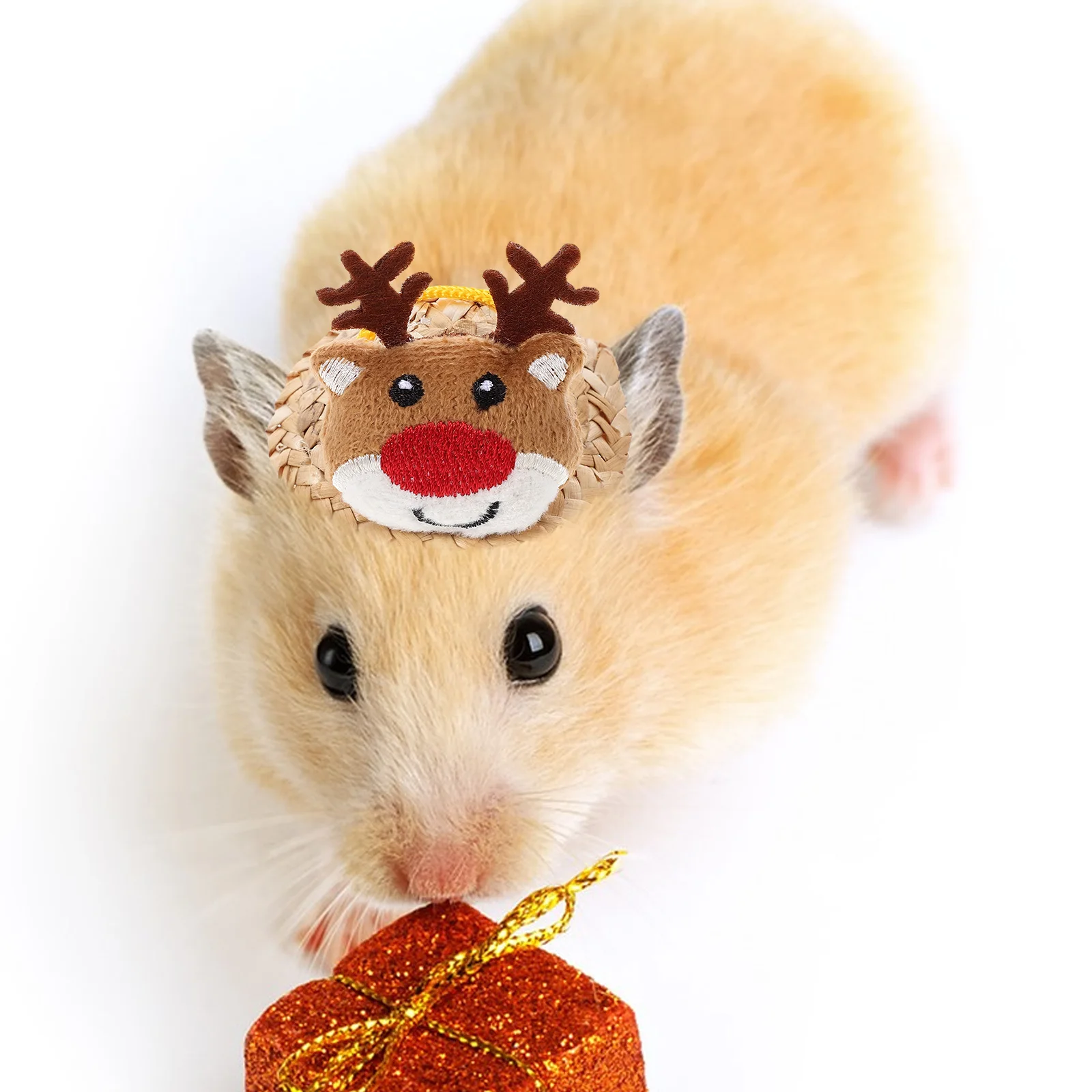 

Hat for Hamster Cartoon Pet Decorative Hats Headwear Mini Photography Props Costume