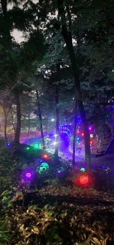 리뷰 사진