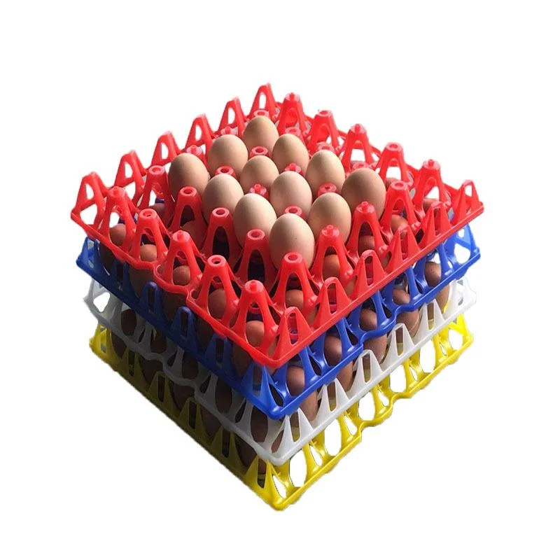 Answer5pcs HEAVY DUTY Regular Reusable Plastic Egg Tray Holds 30 Eggs For Incubator/Egg Transport