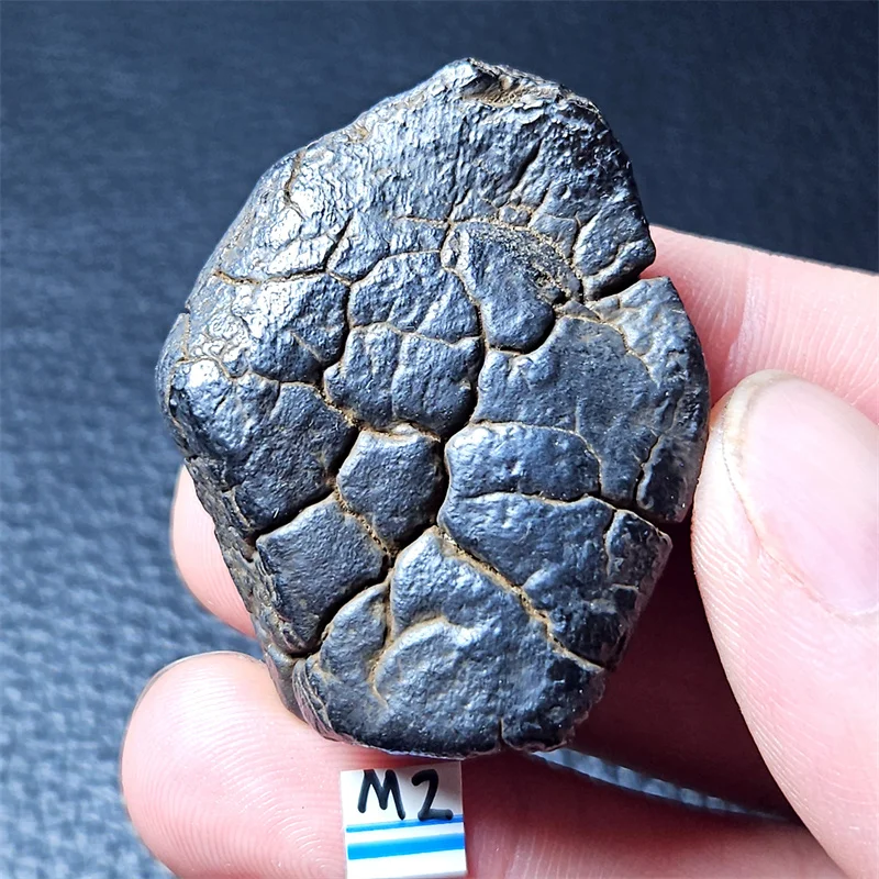 Rare natural iron meteorite mineral specimen Gobi Beach Stone energy magnetic field healing holiday gift