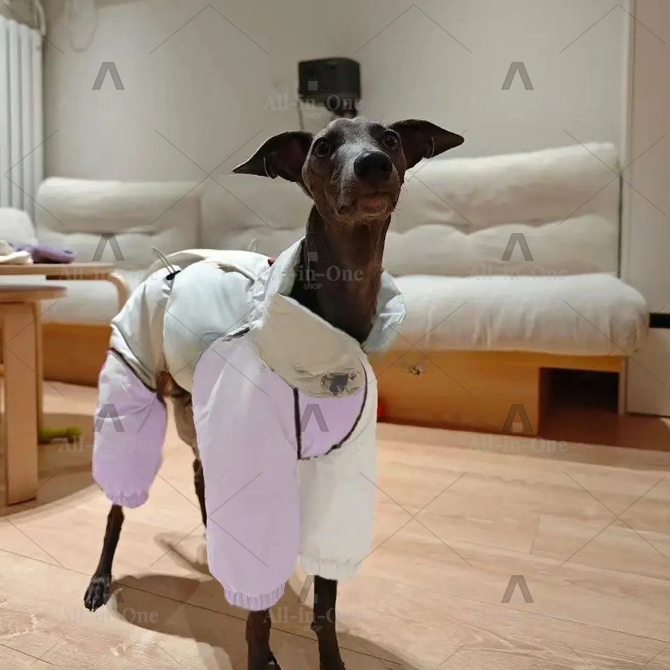 24-Year-old medium-sized dog turtleneck cotton-padded coat pet dog dog autumn and winter clothes warm and windproof