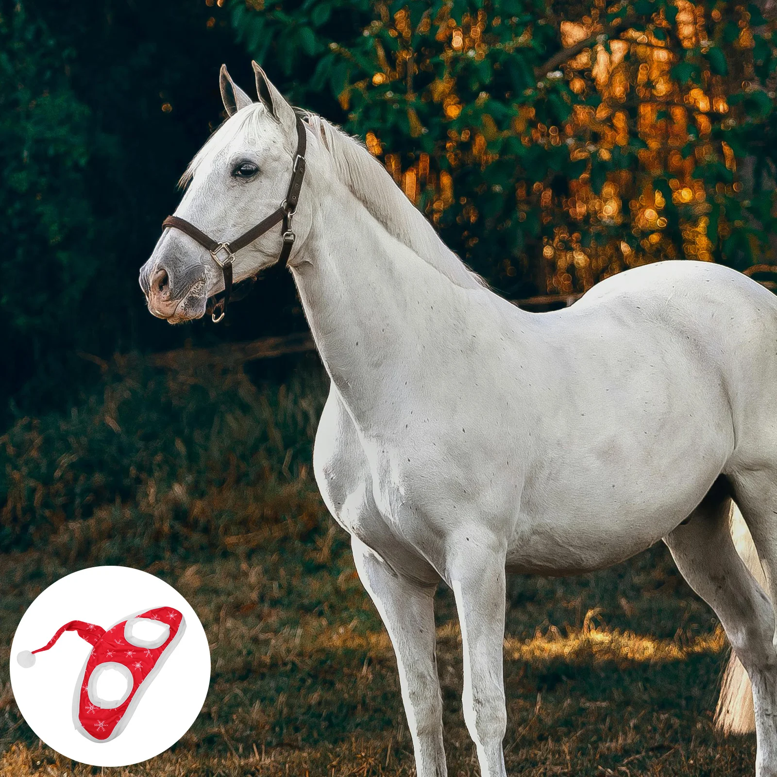 الأحمر ندفة الثلج الحصان سانتا قبعة عطلة حزب الديكور لينة قابل للتعديل الفروسية عيد الميلاد قبعة موكب الحظيرة التقطت الصور زي #1