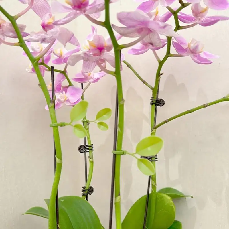 10/20/50pcs Reusable Garden Zip Ties, Plant And Shrub Support, Fixed Straps, Nylon Adjustable Zipper,