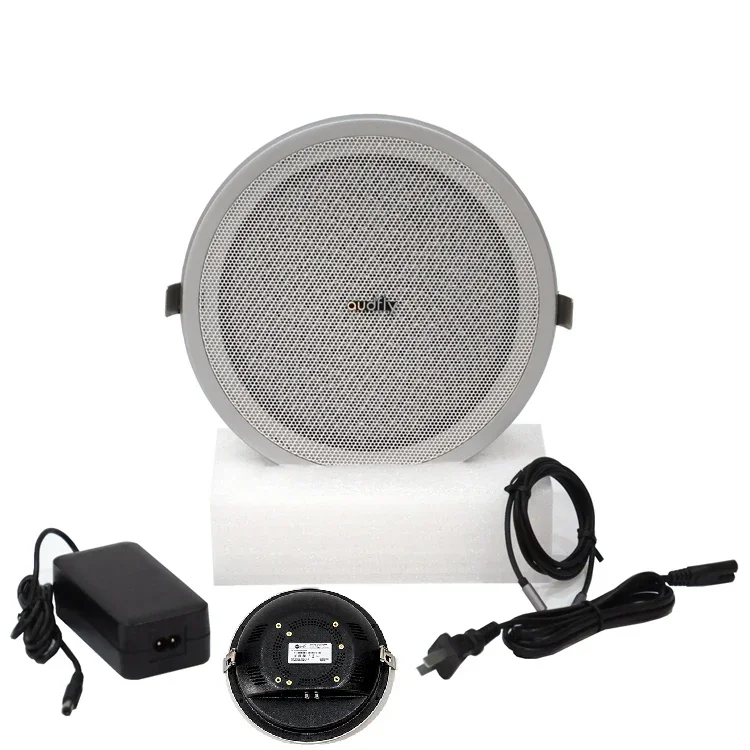 Next-generation Sound Control Technology Customizable Ceiling Mounted Sound Zones Directional Speakers for Museum