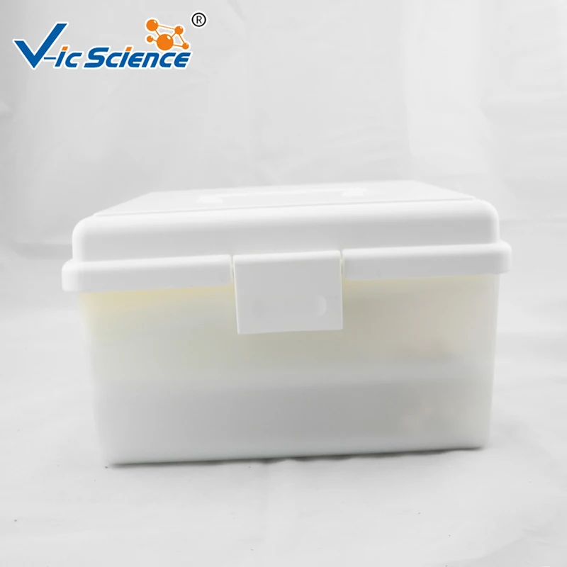 Spine Anatomical Model Life-Size Vertebral Column Disarticulate Model