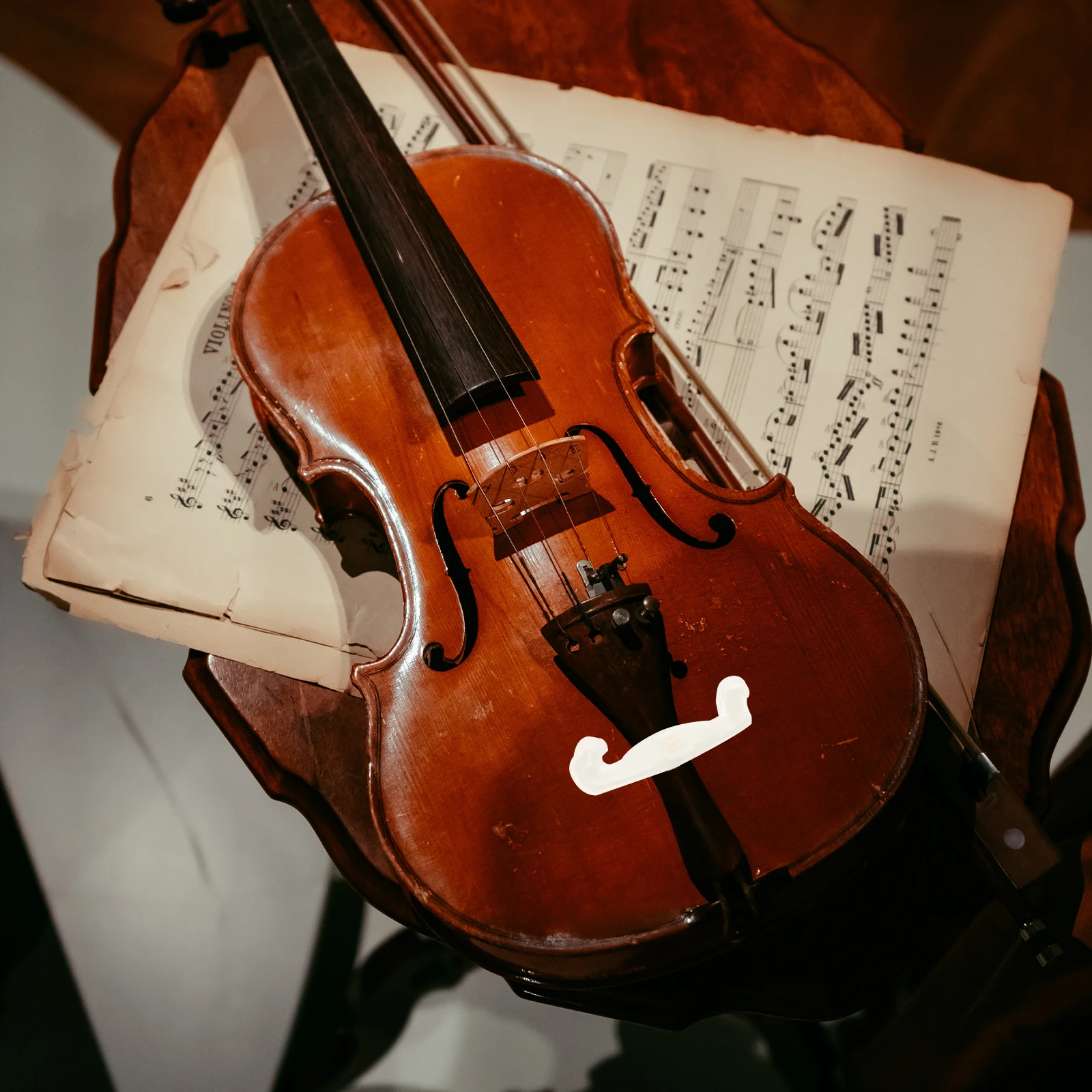 

2 Pcs Replacement Claw Shoulder Support Anti-slip Pad for Violin Emulsion Accessories Rest