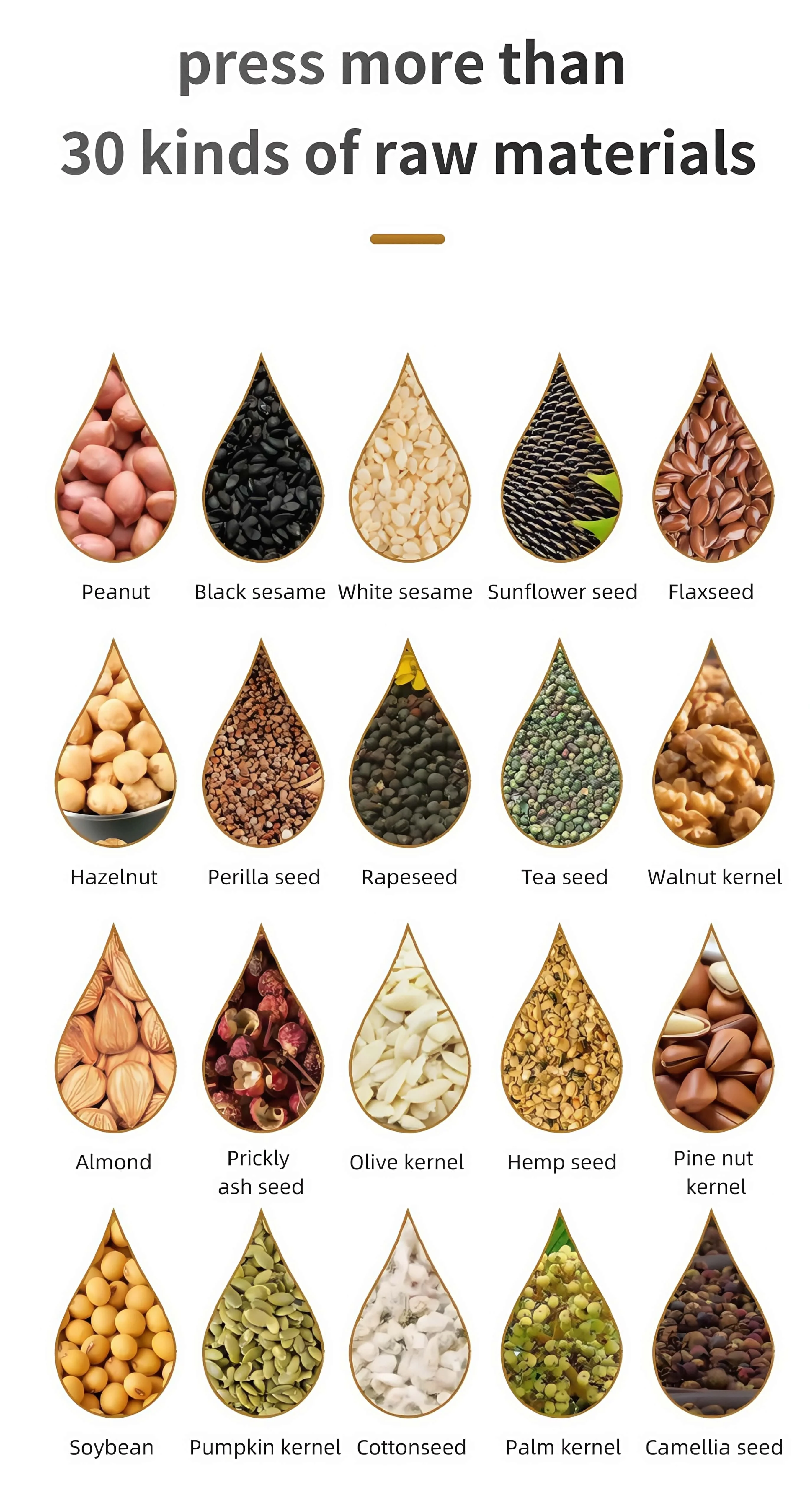 New Condition Oil Press Edible Formic Four Heads Presser High Efficiency  Output Press Machine Olive  Press Machine