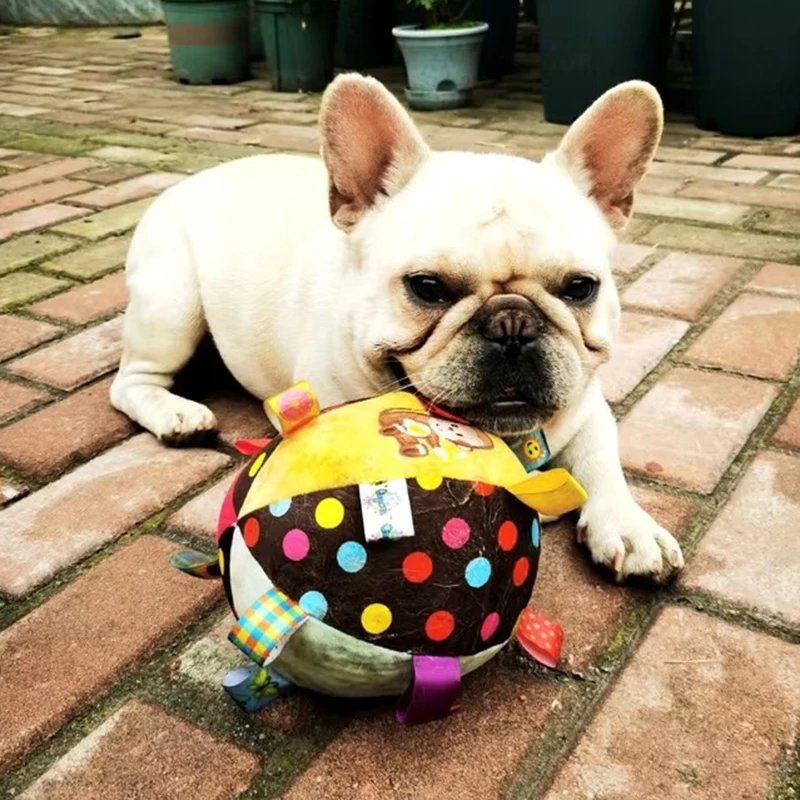

Плюшевые пищалки, Французские бульдоги, животные, бульдог, бульдог, щенок, жевательная игрушка для маленьких и средних собак, корги, Сиба-ину, игрушки, аксессуары для масок