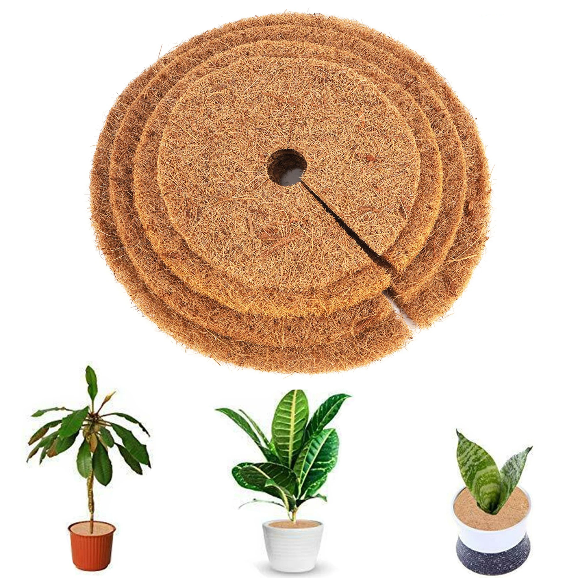 25/30/35/40cm Round Tree Root  - Moisture Meter Plant review and price
