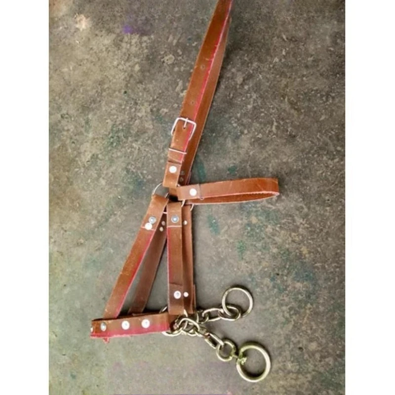 

Reins big ox horse head cover condom lead horse equestrian animal utensils bite beak rope tether mule donkey beak cage