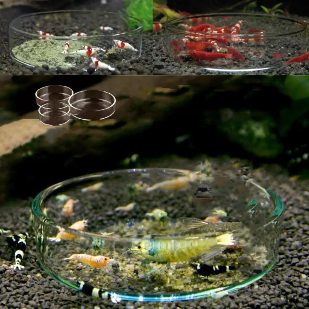 Feeder Tank Aquarium Fish Crystal Red Cherry Shrimp Round Glass Feeding Dish Goldfish Tank Living Room  Office Desktop Decor