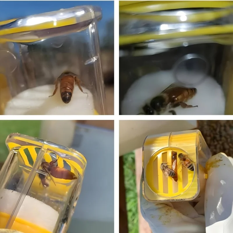 6Single-handed portable plastic queen bee marking bottle, beekeeping tool for queen bee breeding