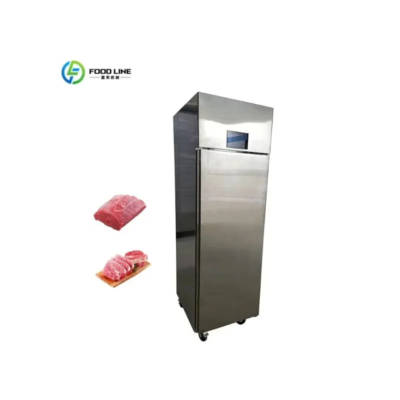 2026 New  Multi-Function Stainless Steel Electric Kitchen Equipment Beef Aging Cabinet Blast Chiller Thawing Cabinet Customized