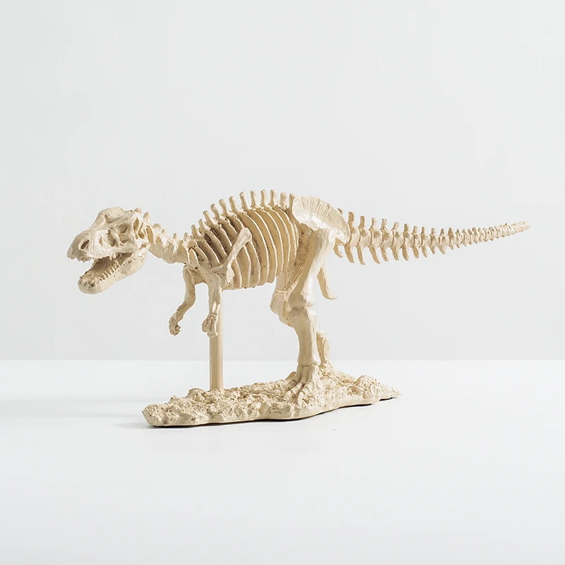 

Donglai home creative dinosaur fossil ornaments study model room living room cabinet display model skeleton decorations