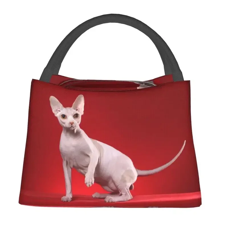 Kawaii Sphynx Cat Resuable Lunch Box Women Kitten Owner Gift Thermal Cooler Food Insulated Lunch Bag Office Work Pinic Container