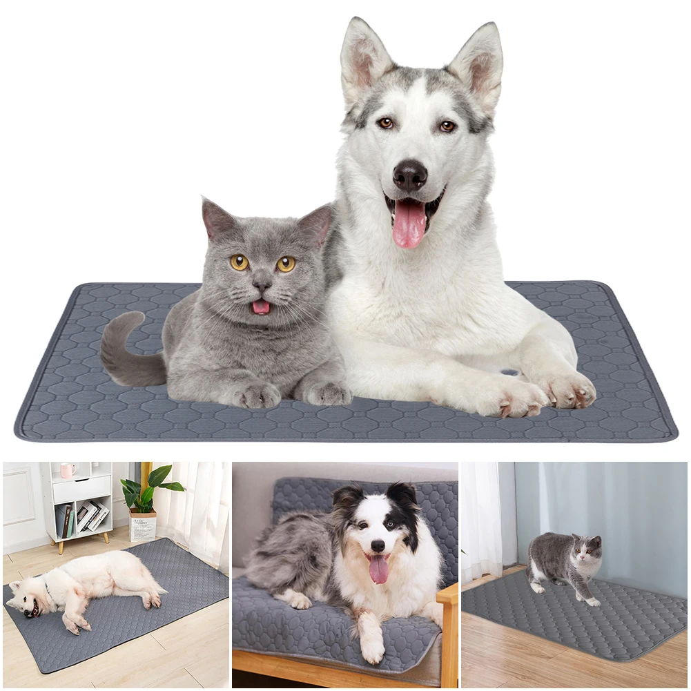 

Anti Slip Pet Pee Pad Reusable Puppy Training Pad Absorbent Puppy Cat Training Diaper Mat Dog Pee Pad Blanket for Car Seat Cover