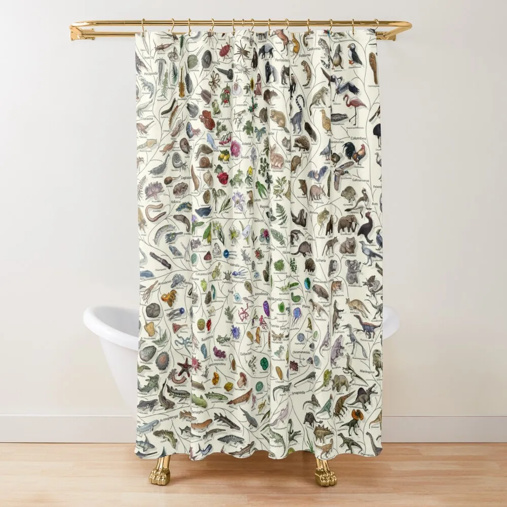

Tree of Life Poster - Animal and Plant Evolution - Colour (Scientific Annotations others available) Cream Shower Curtain