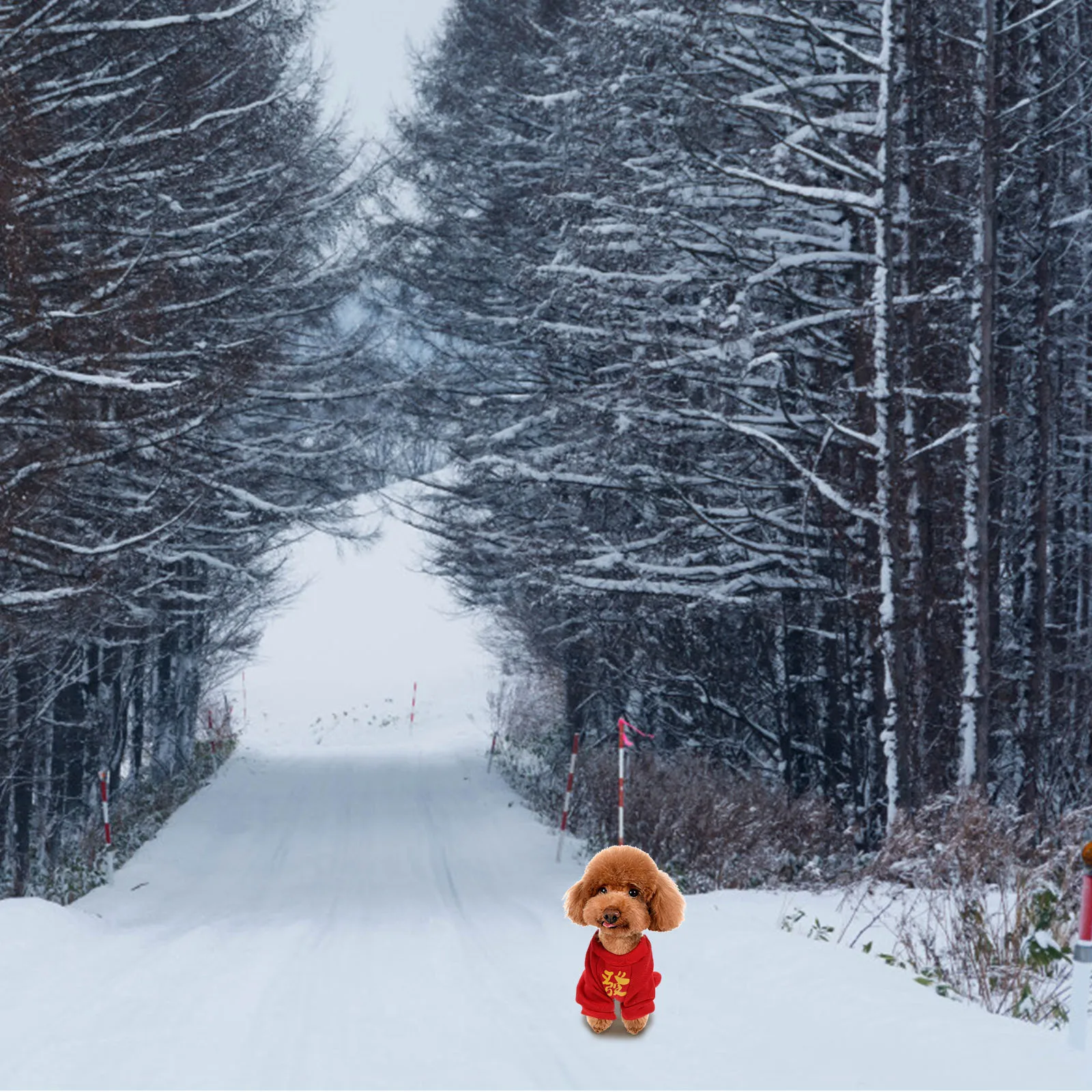 

Pet Two-Legged Clothes Warm Dog Costume Breathable Lightweight Cute Puppy Outfit New Year Pet Decorative Clothes