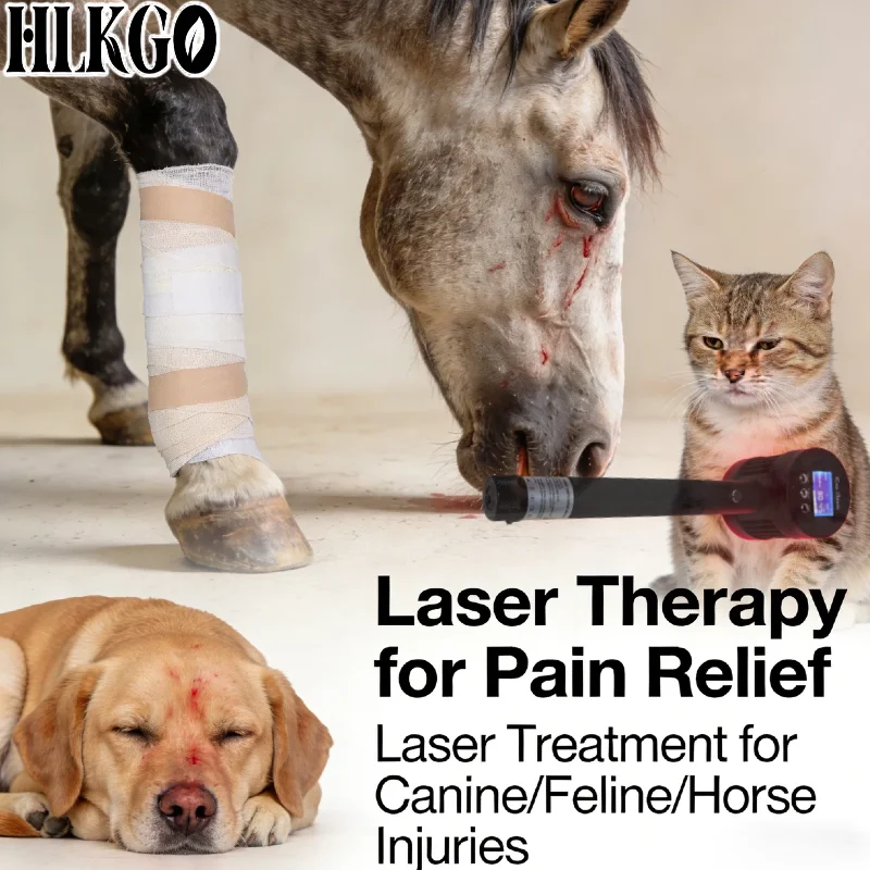

Медицинский высокомощный холодный лазер 1295 мВт, 650 нм (19 диодов), 808 нм (6 диодов) для собак, кошек, лошадей при растяжениях мышц и повреждениях связок