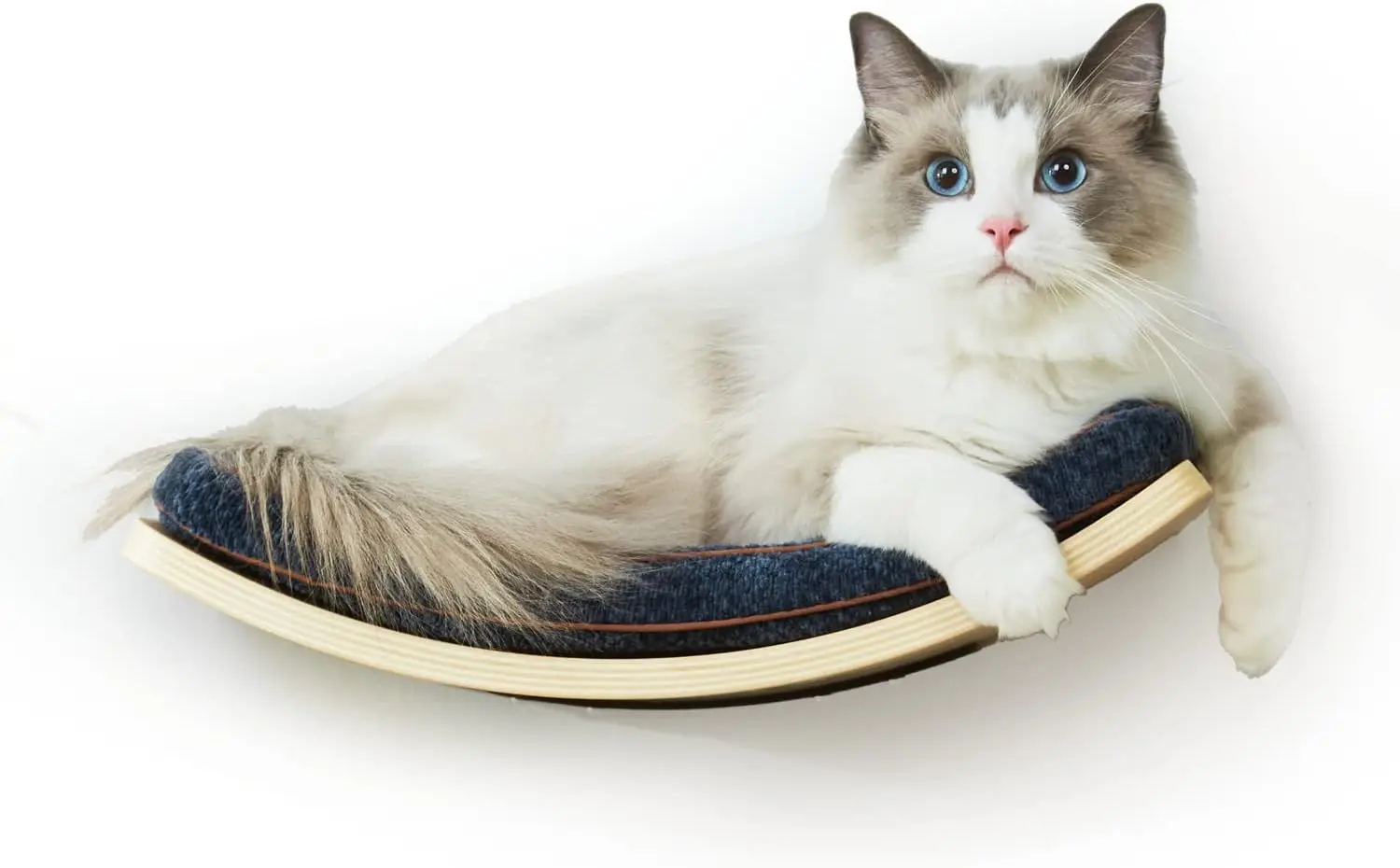 

Medium Curved Cat Shelf with Cushion - Wall Mounted Cat Furniture for Sleeping, Playing, Climbing