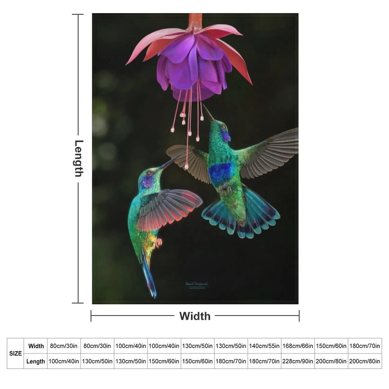 Hummingbird pair Throw Blanket halloween Thin warm for winter For Baby For Sofa Thin Designers Blankets