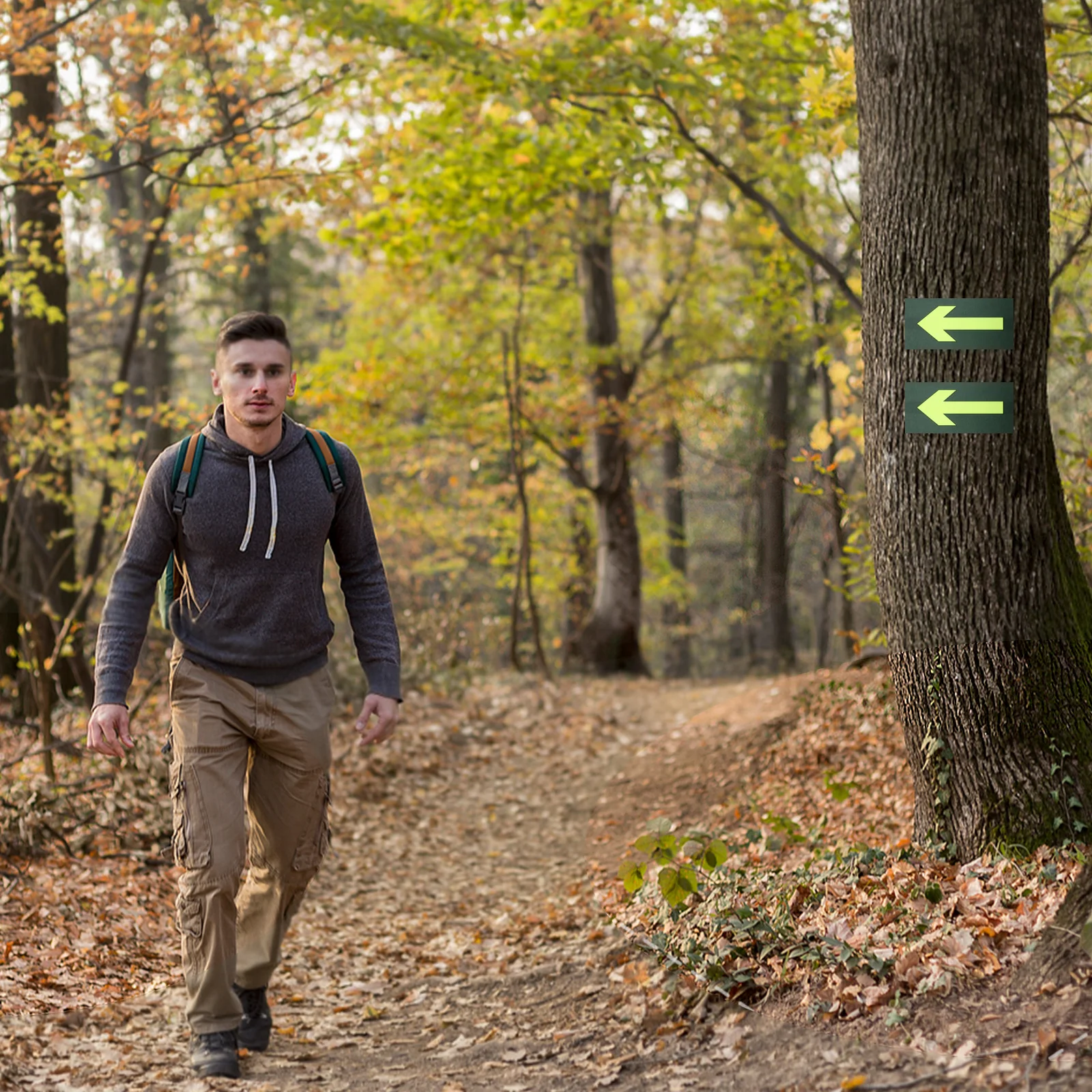 

10pcs Glow In The Dark Arrow Signs Luminous Reflective Trail Markers For Camping Hiking Navigation Safety Waterproof Adhesive