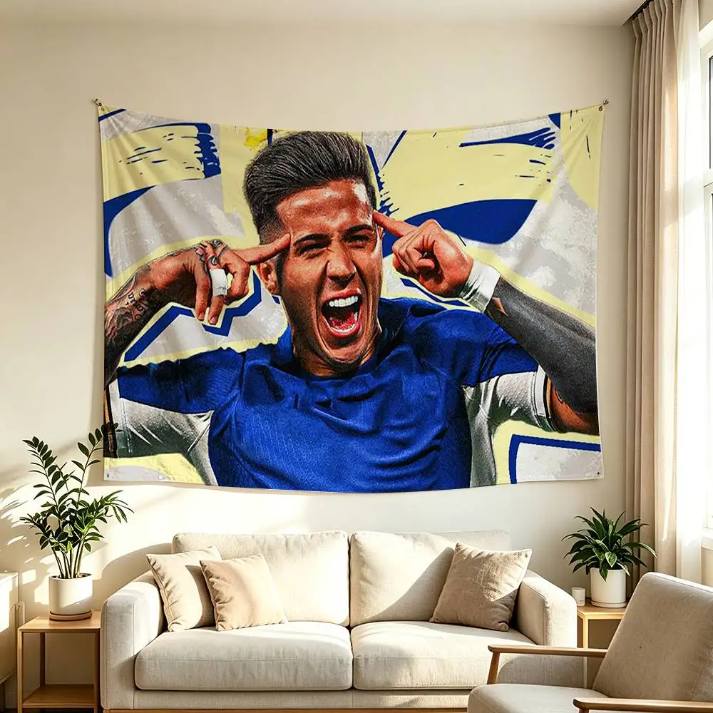 Football Midfielder E-Enzo Fernandez Flags Wall Hanging Background Art Banner for Bedroom Home Outdoor Decor 6
