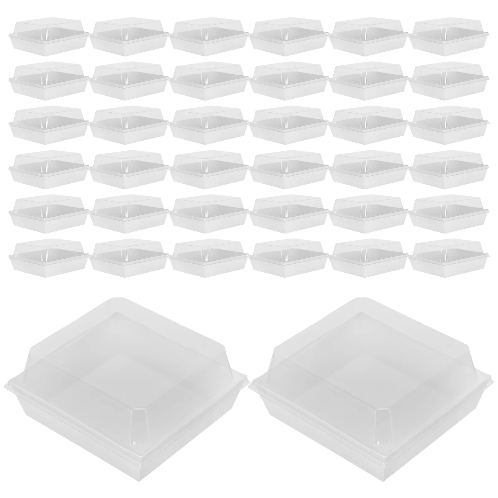 

50 Pcs Crisper Containers for Desserts Handheld Cake Boxes Cookie Small Cupcake Clear Food Packaging