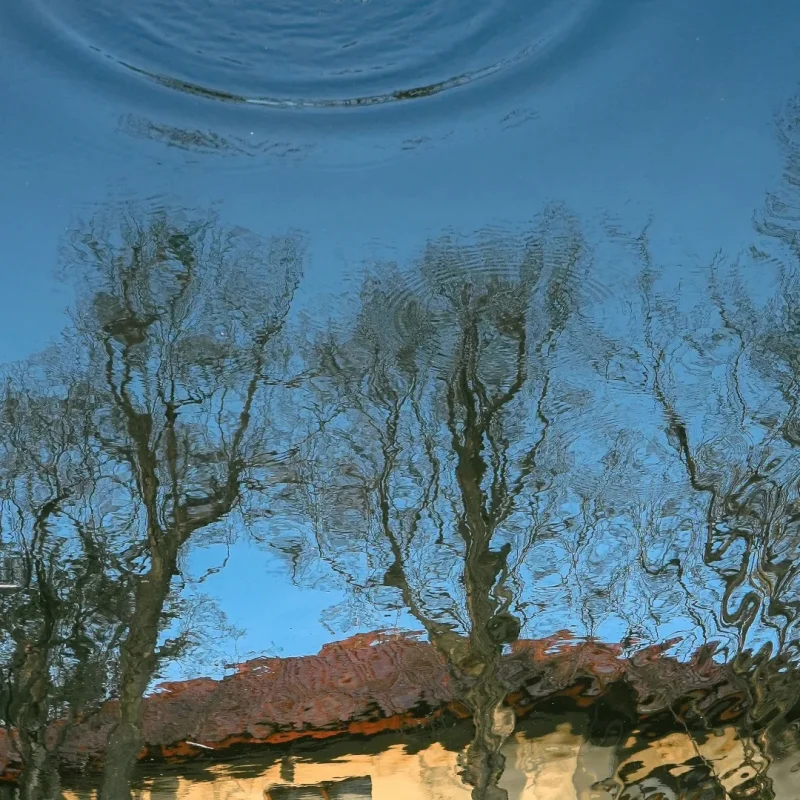 4 stücke Rc Modell Auto Reparatur Werkzeuge Harte Legierung Stahl Metall Hex Schraubendreher Werkzeuge 1,5/2,0/2,5/3,0mm Für Rc Modell Autos Flugzeug Boot