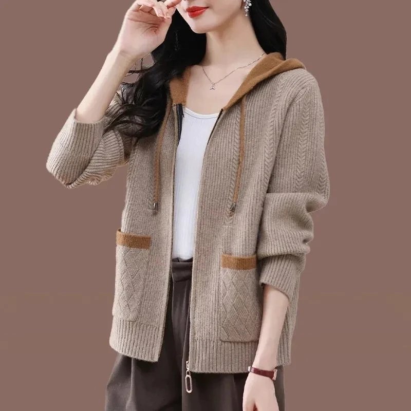 

New Autumn Winter High-grade Cardigan Sweater Jacket Women Korean Loose Zipper Hooded Casual Cashmere Knitted Sweater Ladies Top