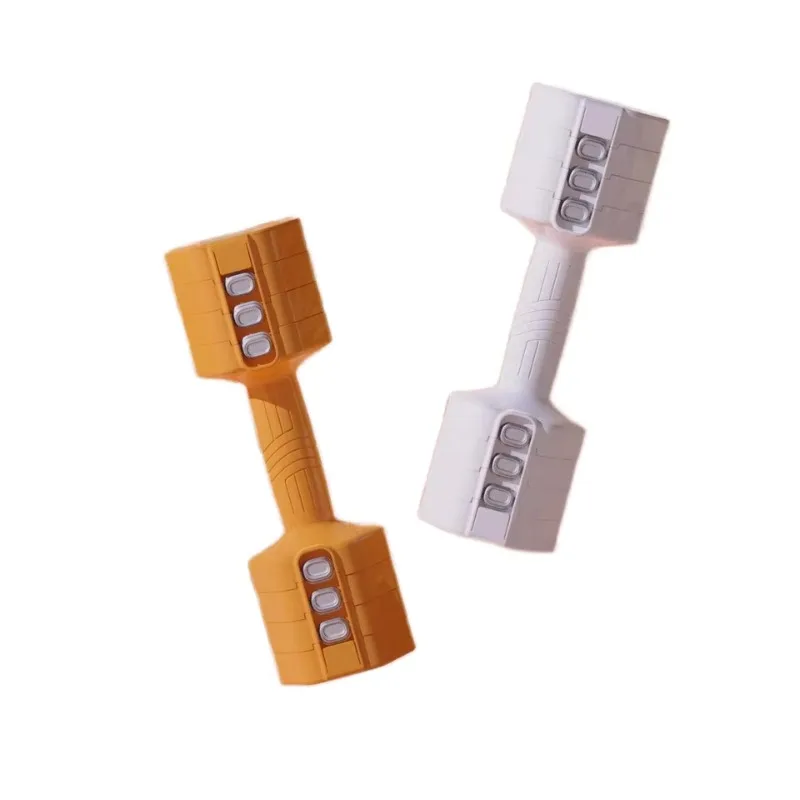 Iron Weight Adjustable Dumbbell Set Premium Metal Build Sturdy Structure For Women Home Gym Fitness Training Exercise