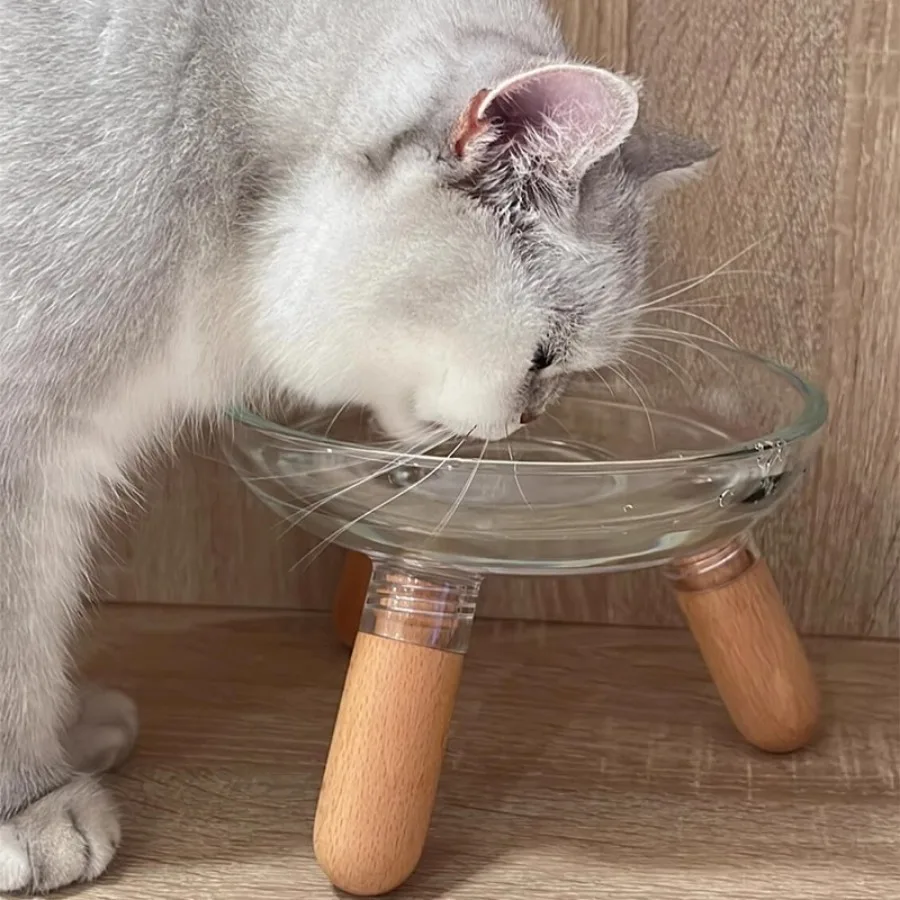 500ml Cat Feeder Dog Bowl Is Not Easy To Knock Over Increased Height To Protect Cervical Spine Things for Pet Cat Accessories