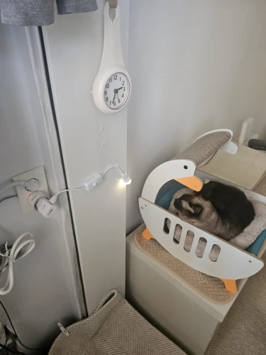 구매후기