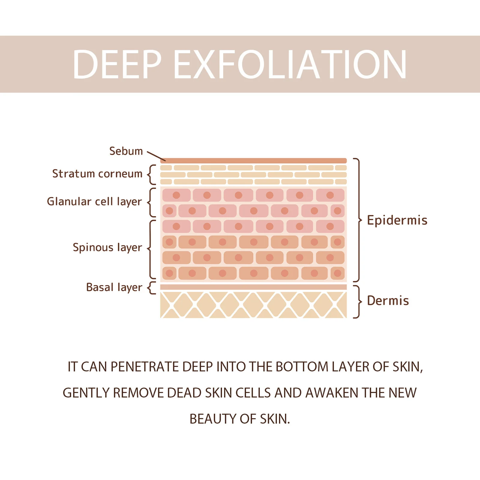 Exfoliating scrubs for removing dead skin, facial and body exfoliating cleansers, pore-cleansing gels, and moisturizing creams. view 5